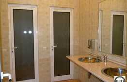 Spatiul ideal pentru sediu de firma.