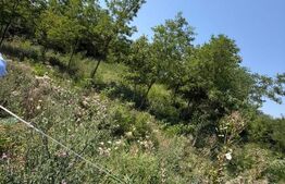 Teren intravilan, 1.748 mp, zona Crairât