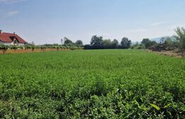 Teren intravilan de vanzare, 3800 mp, zona Vest
