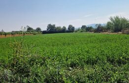 Teren intravilan de vanzare, 3800 mp, zona Vest