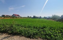Teren intravilan de vanzare, 3800 mp, zona Vest