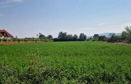 Teren intravilan de vanzare, 3800 mp, zona Vest