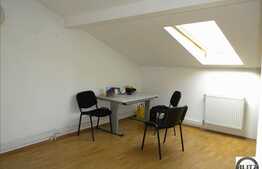 Pozitionare centrala si conditii avantajoase!