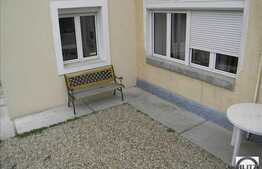 100 mp pretabil firma de soft.