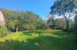 Casa de vanzarea, 145 mp, teren, 1350 mp, zona Halchiu