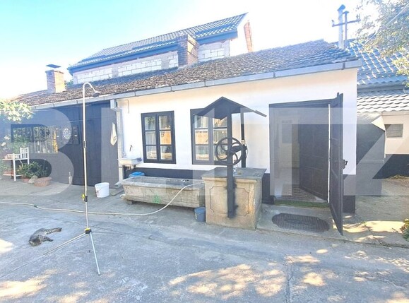 Casa de vânzare 5 camere Hălchiu - 202668CV | BLITZ Brașov | Poza4