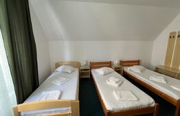 Spațiu versatil, 20 mp, zonă București/Fabricii