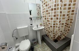 Spațiu versatil, 20 mp, zonă București/ Fabricii