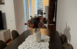 Apartament 2 camere, 48 mp ,gradina, zona Cetății 
