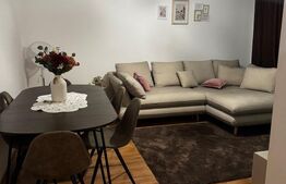 Apartament 2 camere, 48 mp ,gradina, zona Cetății 