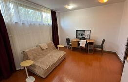 Apartament cu 1 cameră la casă, cu curte generoasă – pet friendly