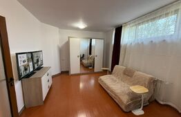 Apartament cu 1 cameră la casă, cu curte generoasă 