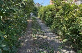 Apartament cu 1 cameră la casă, cu curte generoasă – pet friendly