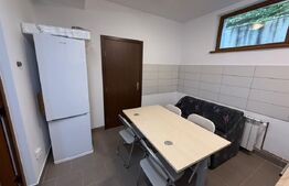 Apartament cu 1 cameră la casă, cu curte generoasă – pet friendly