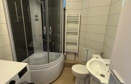 Apartament cu 1 cameră la casă, cu curte generoasă 
