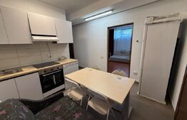 Apartament cu 1 cameră la casă, cu curte generoasă 