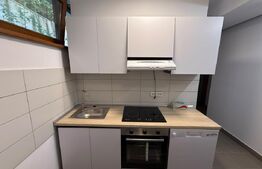 Apartament cu 1 cameră la casă, cu curte generoasă – pet friendly