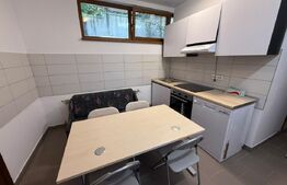 Apartament cu 1 cameră la casă, cu curte generoasă 