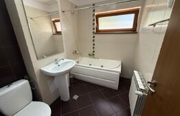 Garsonieră la casă, 20 mp, pet friendly, zona Manastur