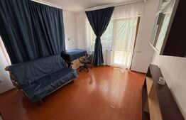 Apartament cu 1 cameră la casă, cu curte generoasă – pet friendly