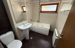 Garsonieră la casă, 20 mp, pet friendly, zona Manastur