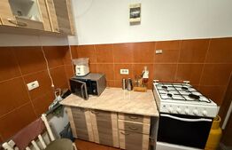 Garsonieră la casă, 20 mp, pet friendly, zona Manastur