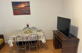 Garsoniera de inchiriat, 28 mp, zona Manastur