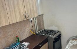 Garsoniera de inchiriat, 28 mp, zona Manastur