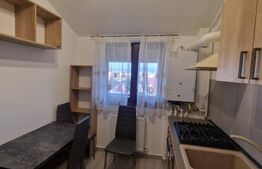 Garsonieră de inchiriat, 30 mp, zona Sanpetru