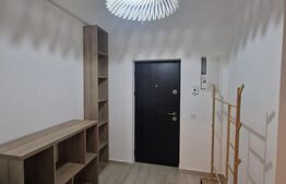 Garsonieră de inchiriat, 30 mp, zona Sanpetru