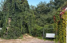 Casa individuala, 275 mp, zona Bran