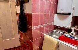 Apartament cu o camera | 23 mp |  Central | Dorobantilor