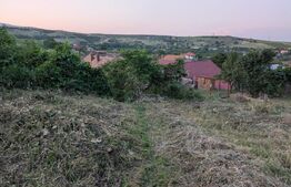 Proprietate de vanzare, 41.16 mp, teren 2.111 mp, zona Sandulesti - Cheia 