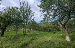 Proprietate de vanzare, 41.16 mp, teren 2.111 mp, zona Sandulesti - Cheia 