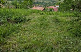 Proprietate de vanzare, 41.16 mp, teren 2.111 mp, zona Sandulesti - Cheia 