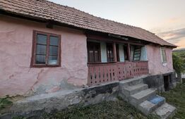 Proprietate de vanzare, 41.16 mp, teren 2.111 mp, zona Sandulesti - Cheia 