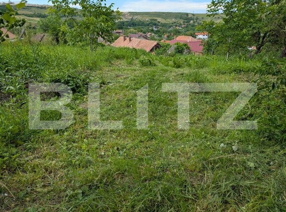 Casa de vânzare 2 camere Sandulesti - 202876CV | BLITZ Cluj-Napoca | Poza2