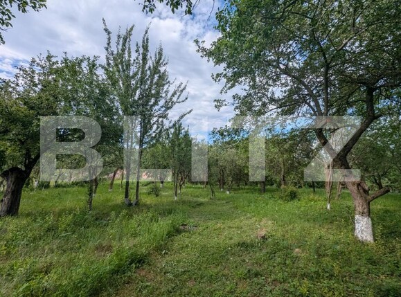 Casa de vânzare 2 camere Sandulesti - 202876CV | BLITZ Cluj-Napoca | Poza3