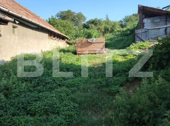 Casa de vânzare 2 camere Sandulesti - 202876CV | BLITZ Cluj-Napoca | Poza4