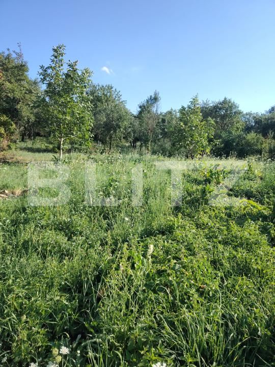 Casa de vânzare 2 camere Sandulesti - 202876CV | BLITZ Cluj-Napoca | Poza2