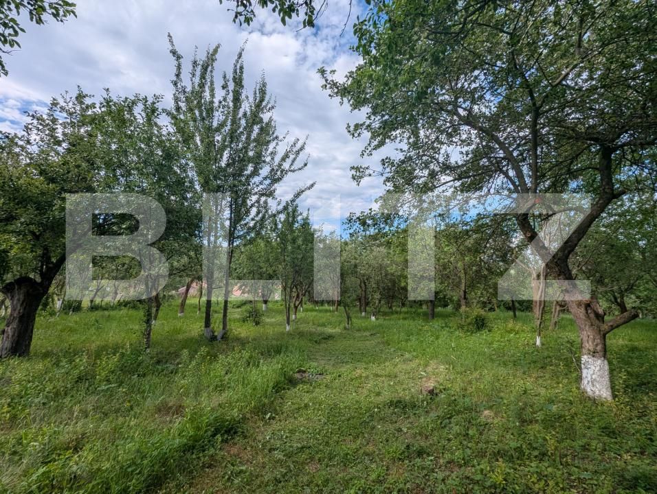 Casa de vânzare 2 camere Sandulesti - 202876CV | BLITZ Cluj-Napoca | Poza3