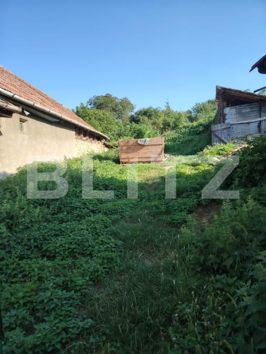 Casa de vânzare 2 camere Sandulesti - 202876CV | BLITZ Cluj-Napoca | Poza4