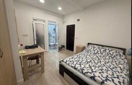 EXCLUSIV BLITZ / Garsoniera / Ultra Central / Calea Motilor 31/ COMISION 0%