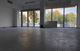 Spatiu comercial cu potential, 200 mp, zona Saturn