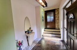 Vilă exclusivistă de 340 mp utili,Teren 1.400 mp,Jacuzzi & Grădină -Faget