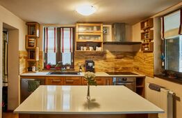 Vilă exclusivistă de 340 mp utili,Teren 1.400 mp,Jacuzzi & Grădină -Faget