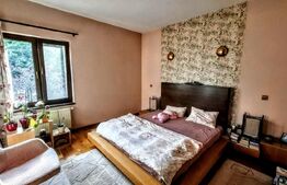 Vilă exclusivistă de 340 mp utili,Teren 1.400 mp,Jacuzzi & Grădină -Faget