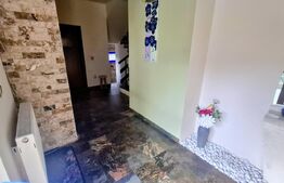 Vilă exclusivistă de 340 mp utili,Teren 1.400 mp,Jacuzzi & Grădină -Faget
