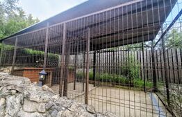 Vilă exclusivistă de 340 mp utili,Teren 1.400 mp,Jacuzzi & Grădină -Faget