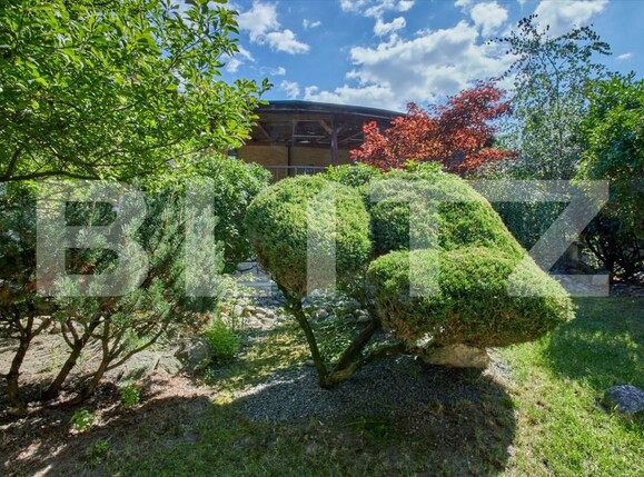 Casa de vânzare 6 camere Făget - 202975CV | BLITZ Cluj-Napoca | Poza24